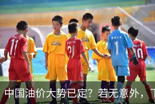 中国油价大势已定？若无意外，下个月起燃油车主或要直面3个现实