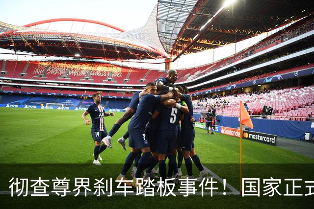 彻查尊界刹车踏板事件！国家正式下场