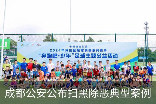 成都公安公布扫黑除恶典型案例