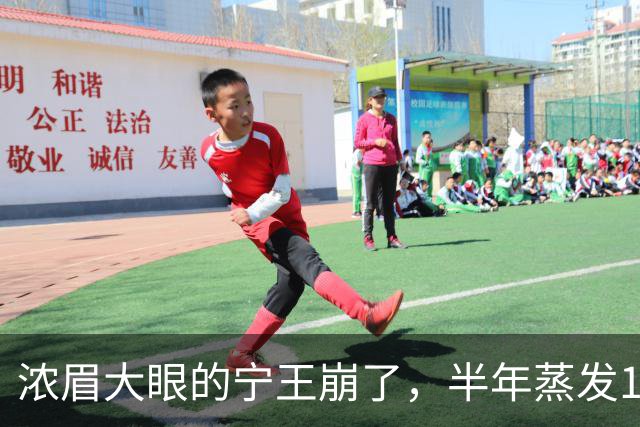 浓眉大眼的宁王崩了，半年蒸发10000亿
