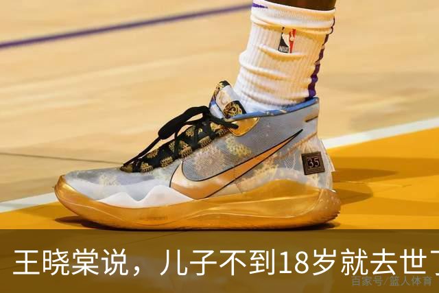 王晓棠说，儿子不到18岁就去世了，她边说边流泪