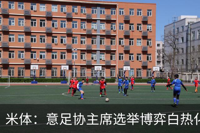 米体：意足协主席选举博弈白热化，14家俱乐部今日线上开会讨论人选