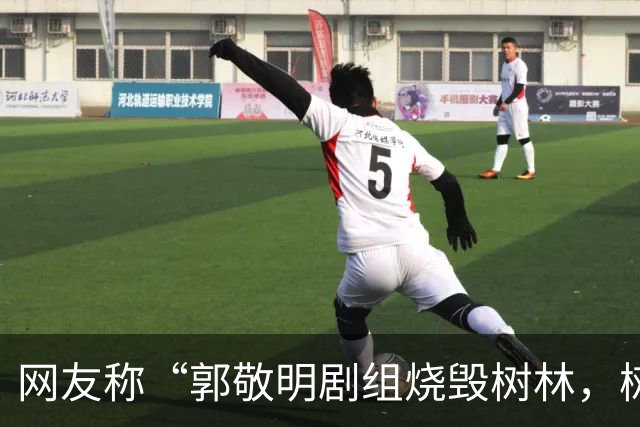 网友称“郭敬明剧组烧毁树林，树干呈黑灰色、倒塌在地”，当地回应：政府全程监管，相关画面是布景，剧组没有破坏生态