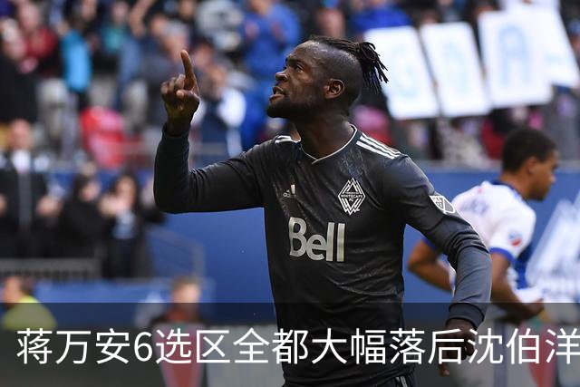 蒋万安6选区全都大幅落后沈伯洋，王世坚：合乎情理，意料之中
