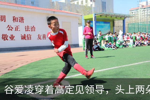 谷爱凌穿着高定见领导，头上两朵粉花被骂上热搜，转天一身旗袍又美到刷屏