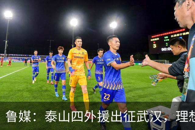鲁媒：泰山四外援出征武汉，理想情况下泽卡能在与蓉城比赛复出