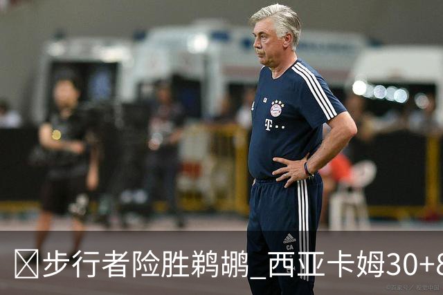 🏀步行者险胜鹈鹕 西亚卡姆30+8 哈利回归23+12 锡安22分