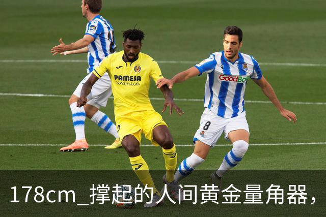 178cm 撑起的"人间黄金量角器"，凭什么火得这么清醒？