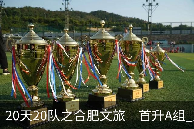 20天20队之合肥文旅｜首升A组 广东新锐加盟补强内外援框架落定