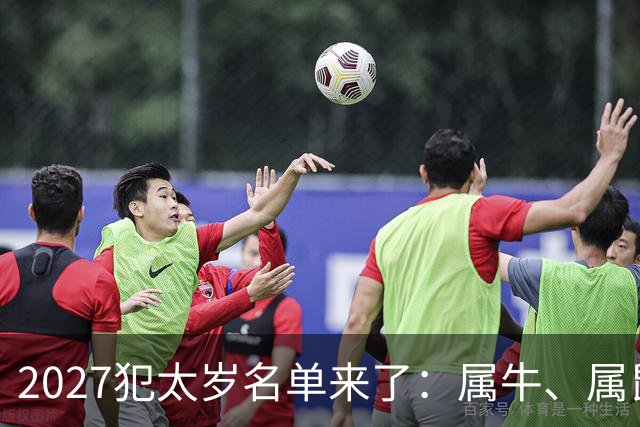 2027犯太岁名单来了：属牛、属鼠、属羊、属狗，谁最凶？如何化解