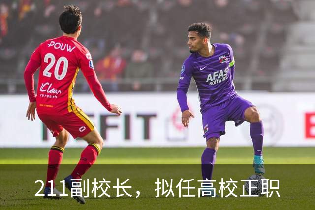 211副校长，拟任高校正职